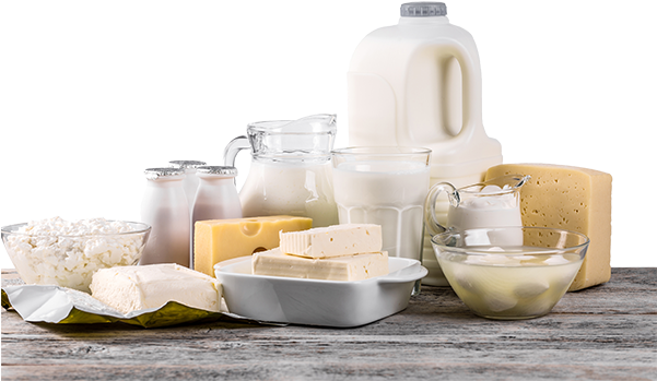 dairy